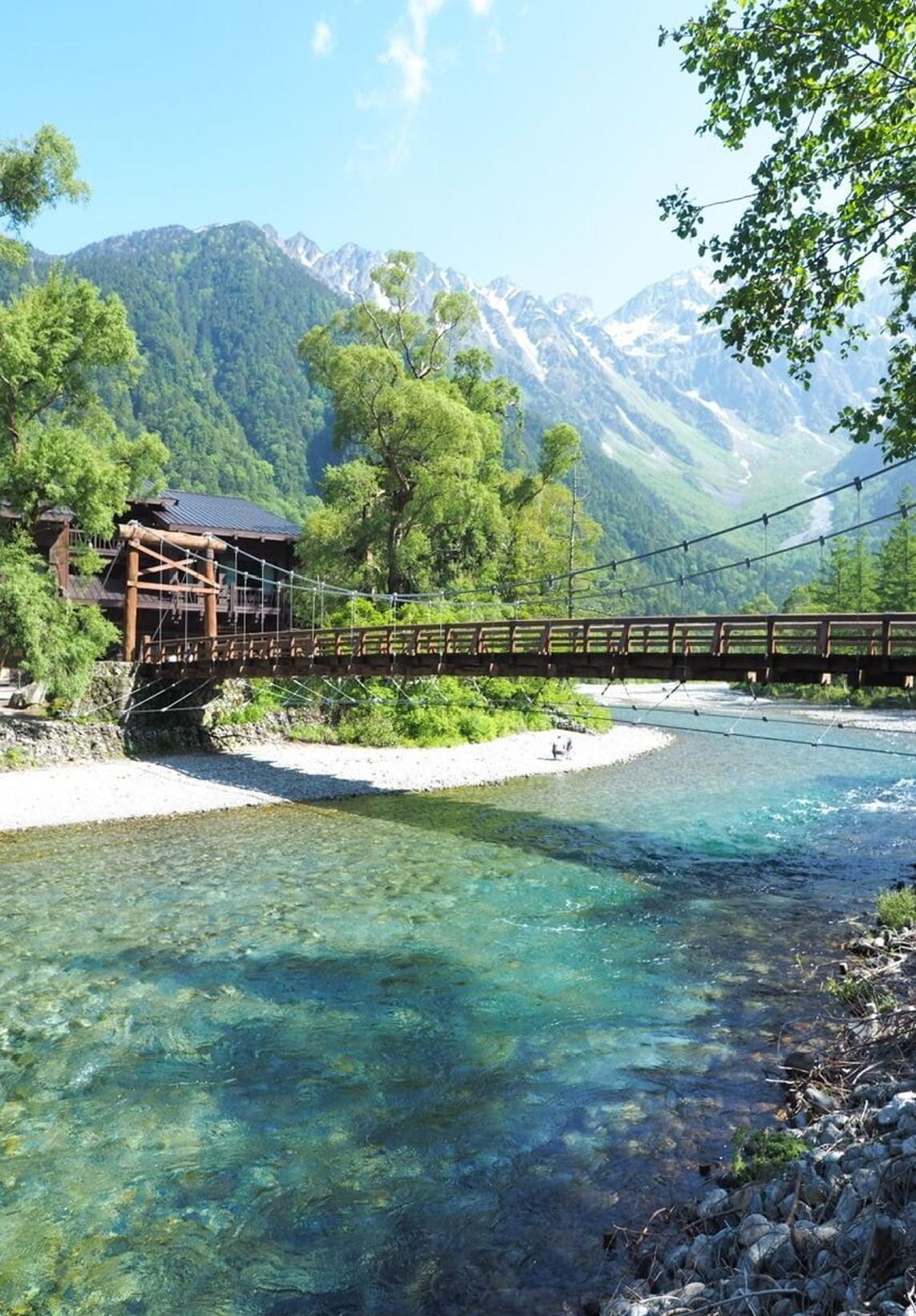 ariezander's profile picture. 