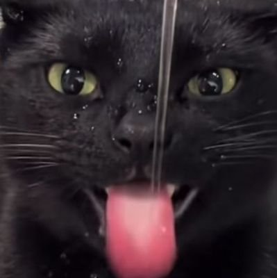 Hxssxn11's profile picture. I make profile pictures, DM Me if you want one :D