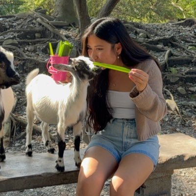 Julietmarietai's profile picture. 