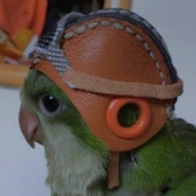 Hesycrashed's profile picture. Men of God and men of war have strange affinities.
Wife to @satsyd_finsun. Header by @danielhlogan