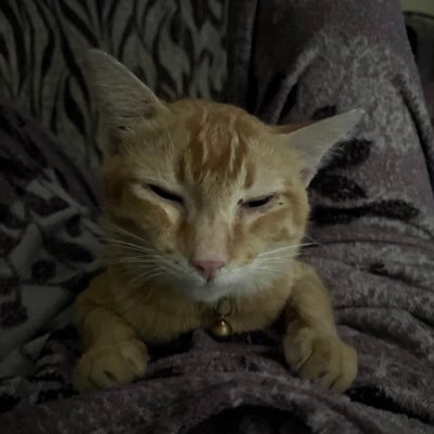 me_melisse's profile picture. all my demons have your smile