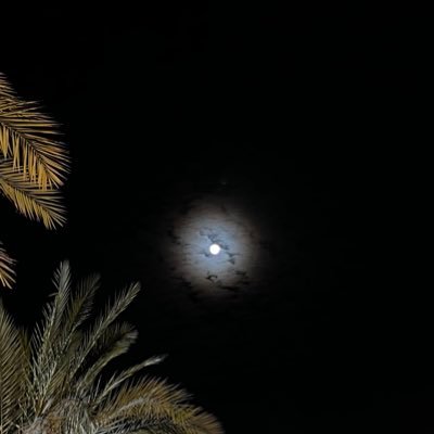 maithahm8's profile picture. اللهم ارحم ماريه واغفر لها