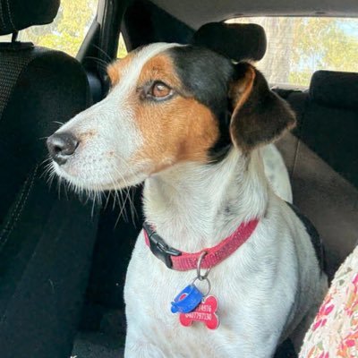 GusinTime's profile picture. 