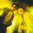 ril_band_'s profile image