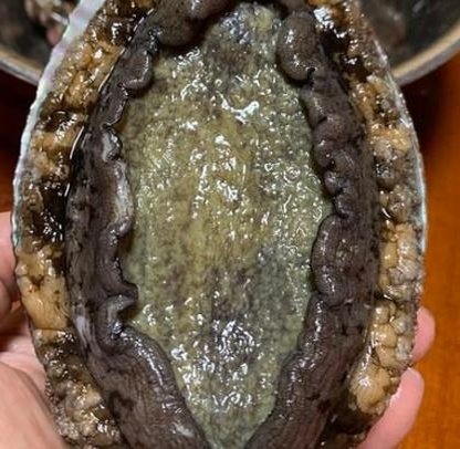 Claytzwzzj's profile picture. Bassist of @birddogjubilee // Engineer by day 🤖 Musician by night 🎸 Founder of @keepATLfunky // #keepATLfunky // @veefriends #VSP #NFT