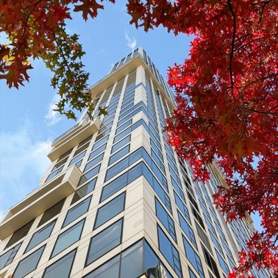 BaddestFon's profile picture. 