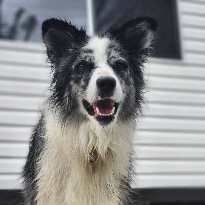 Ben193857434's profile picture. 