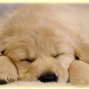 Bruno Tonin - @Tonin96 - Twitter