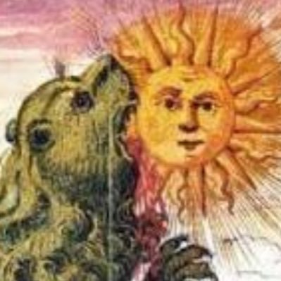 ParacelsianHomunculus