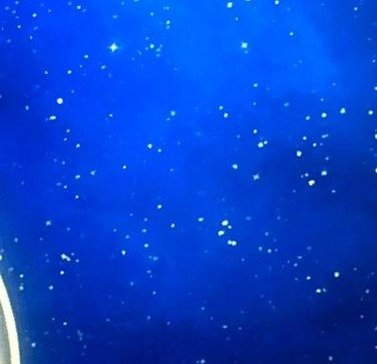 MariamAbrahams's profile picture. 