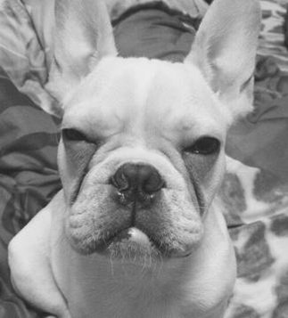 Melanie53247363's profile picture. Frustrated writer working out repressed feelings in the form of pithy one-liners.