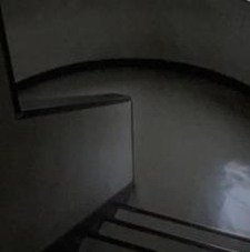 MiguelCapela's profile picture. 