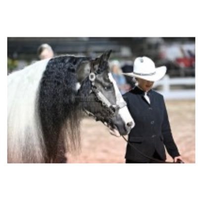 EttaPlace001's profile picture. Here to read the rantings of the insane. Constitutional Conservative. 🇺🇸