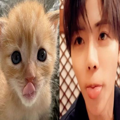 jaemlnsea's profile picture. safe place to talk about everything i'm in love with—𐙚˚. bookworm, sayang 7dream, pacar jaemin🩷🫶