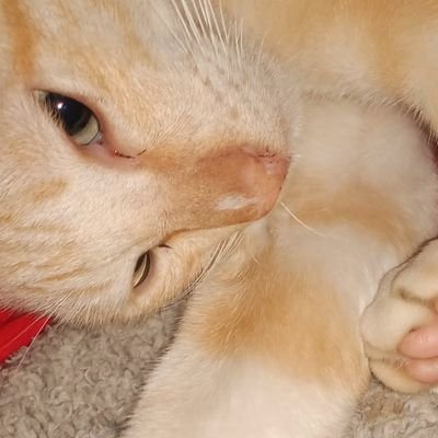 Bossx1_'s profile picture. เง่