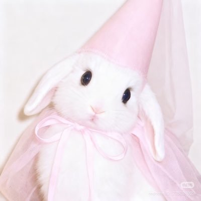 thepinksag's profile picture. 🇵🇸 | #booktwt #pjotwt #anitwt | rare pair enthusiast, writer when i remember, book devourer on occasion | 18+ | engaged 🩷 | 0/10