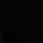 justa0human's profile picture. محارب للبقاء