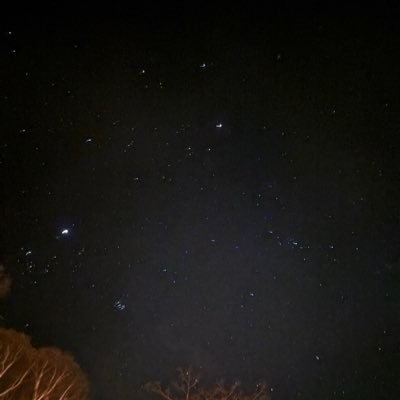 JG113904's profile picture. 進化しました どっかの誰かさんです