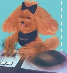 SEVERINE080474's profile picture. 