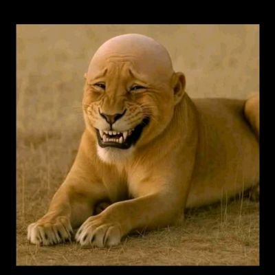 kayy_mohd's profile picture. 