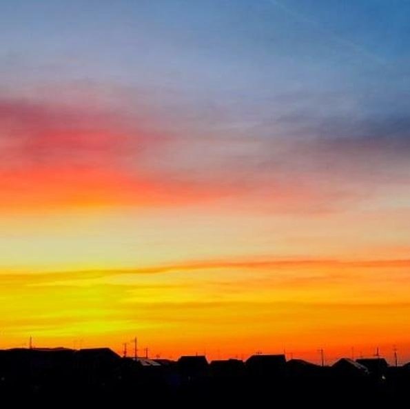 tiggotaco's profile picture. woah holy shit what was that