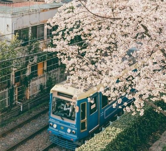 vicmen456's profile picture. 