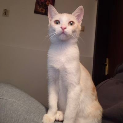 dejanproxima's profile picture. 