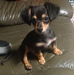 WednesdayCreek's profile picture. Within ourselves there is a deep place at whose edge we may sit and dream.