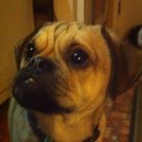 Adam Ashurst - @ajblackdog - Twitter