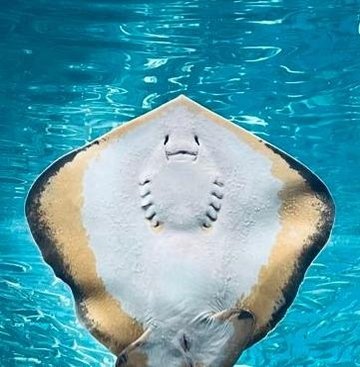 LeonieKerstholt's profile picture. 