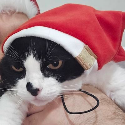 oaloysio's profile picture. Grêmio