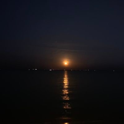 max107184's profile picture. Lover of the night and staying up late