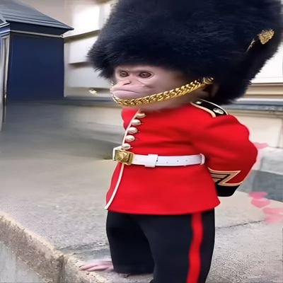 monkeyshowcrazy's profile picture. kadichu vachruven era