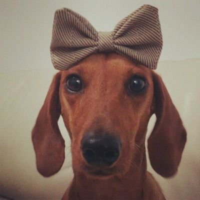 Ravenpille68789's profile picture. she/her 18