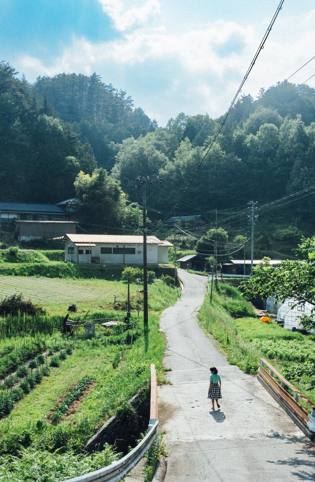 VecoGames's profile picture. 