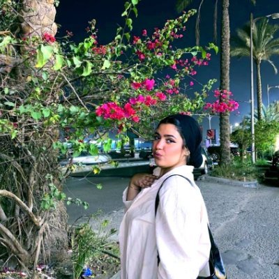 NV_1211's profile picture. 