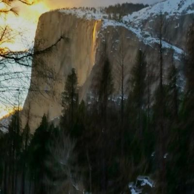 Peerleegate's profile picture. 🇺🇲🇮🇱 Follower of Jesus Christ. Happily married. Best President Ever - Donald Trump, Pro life. I love dogs. I stand with Israel🇮🇱