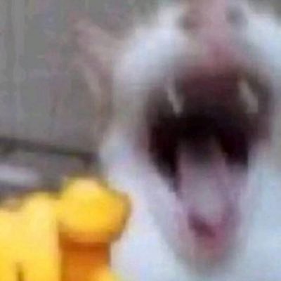 rckz_i's profile picture. 