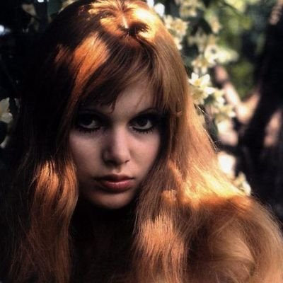 mrswardth's profile picture. real life lisa swallows, elementary teacher, fitzcest warrior and giallo lover 🇧🇷 ☉♑︎ ☾♋︎ ↑♍︎