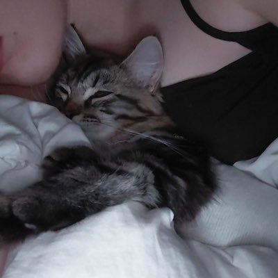 uryourbae's profile picture. 