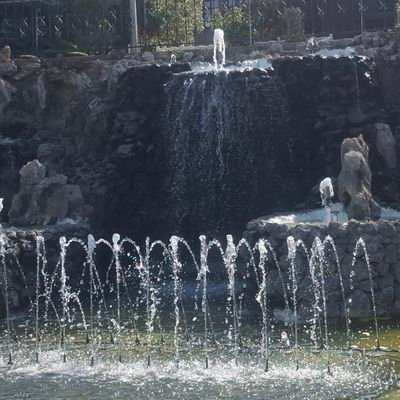 Seneld0303's profile picture. 