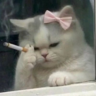 w0tevaf0r's profile picture. I make terrible stuff ~ inactive V.O. & Artist ~ tips @ https://t.co/9JGoi5tLiZ