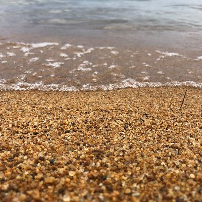 freakyfairy007's profile picture. 