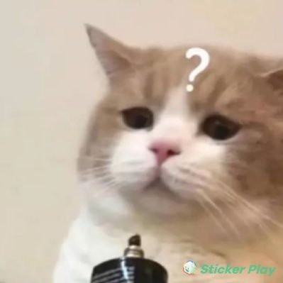 glycolycacid's profile picture. INFP