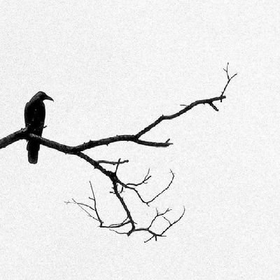 Tukur_jnr_'s profile picture. 🍁