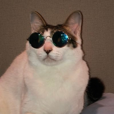 RA3nUwJorhfx4Vm's profile picture. 始まりは日出処の天子。陳情令から中華耽美にはまり、二哈を自力で翻訳、4年かけて完走。今は旭金が最推しです🥰