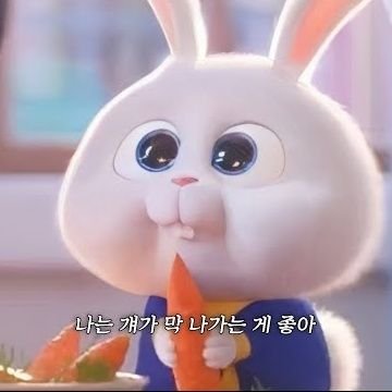 25choco_bunny's profile picture. Sexy하게 Zi퐝ㅇl를 휘두르는 우ㅇr한 Sinㅅr.. #최호승 🍓