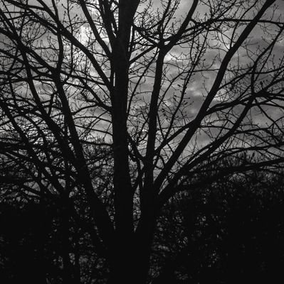 shluteon's profile picture. 30

Chicago

📷/🎥

don't get mad at me baby‹𝟹