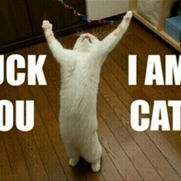 2ftt(파딱 잘못 달음)