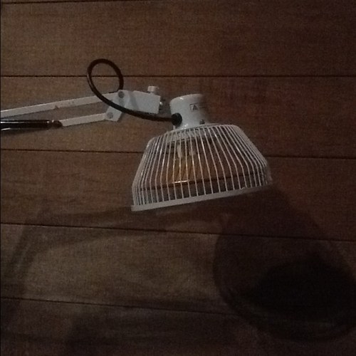 acuwoodford's profile picture. 